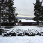 Morning snow in Trondheim Morning snow in Trondheim