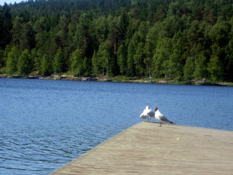 sognsvann11