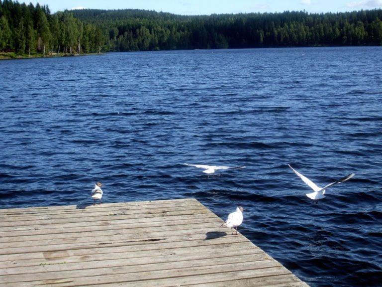 sognsvann6