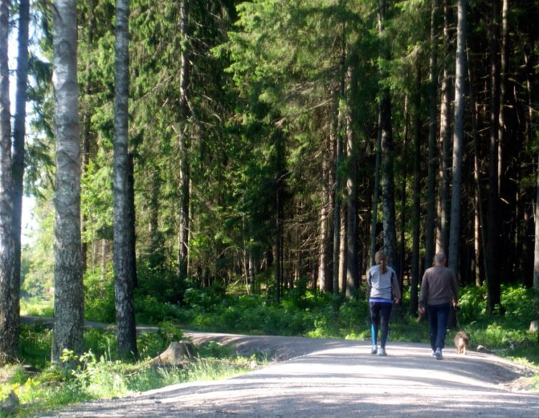 sognsvann8