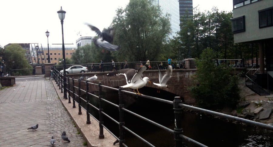 Aker River at Grønland, Oslo