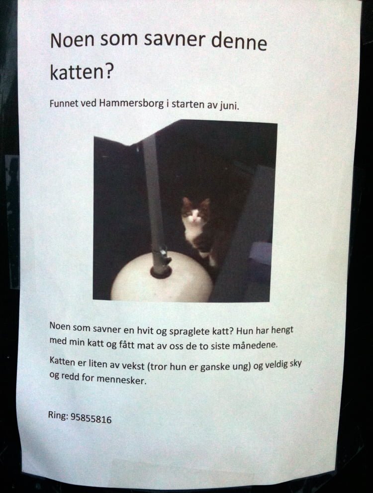 Missing cat poster in Oslo.