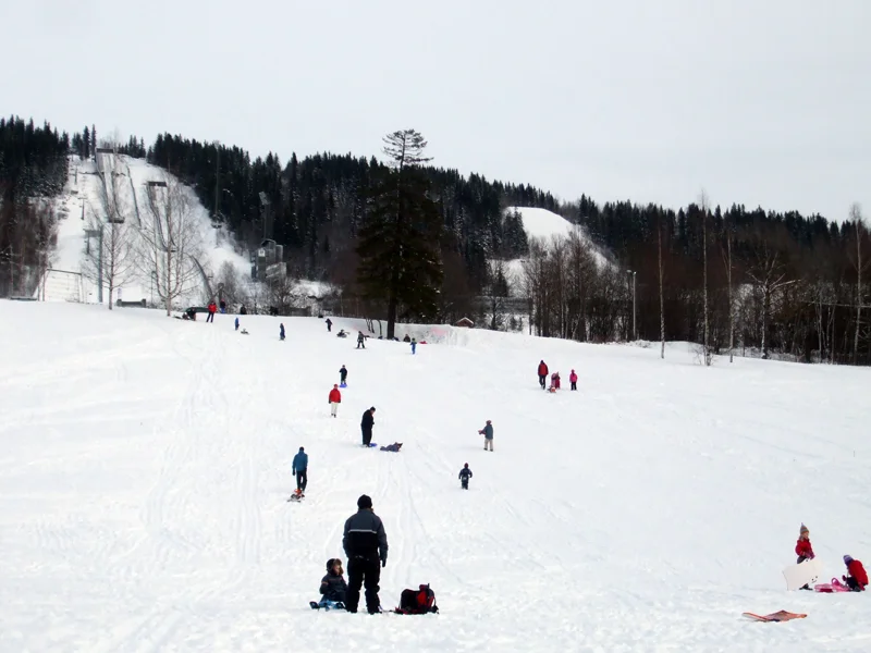 20-sledging-at-lillehammer Sledging at the Olympic Park in Lillehammer