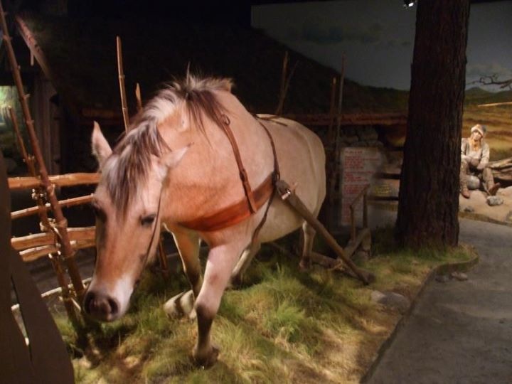 Workhorse exhibit in the Lillehammer Museum