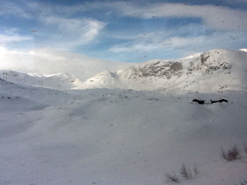 View from Oslo to Bergen railway in the winter