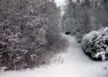 It’s Snow Joke in Trondheim