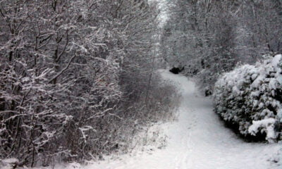 Snowfall in Trondheim