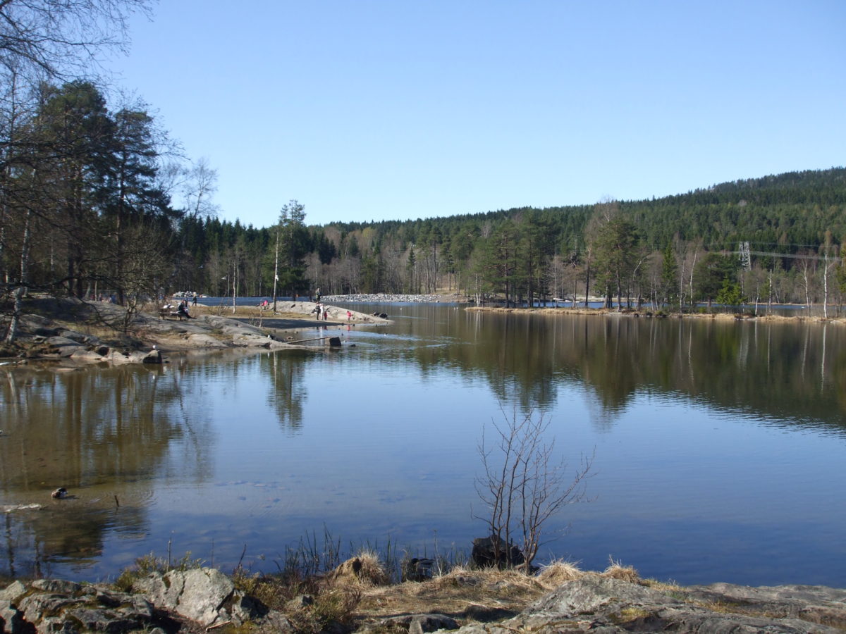 Sognsvann this morning Sognsvann this morning