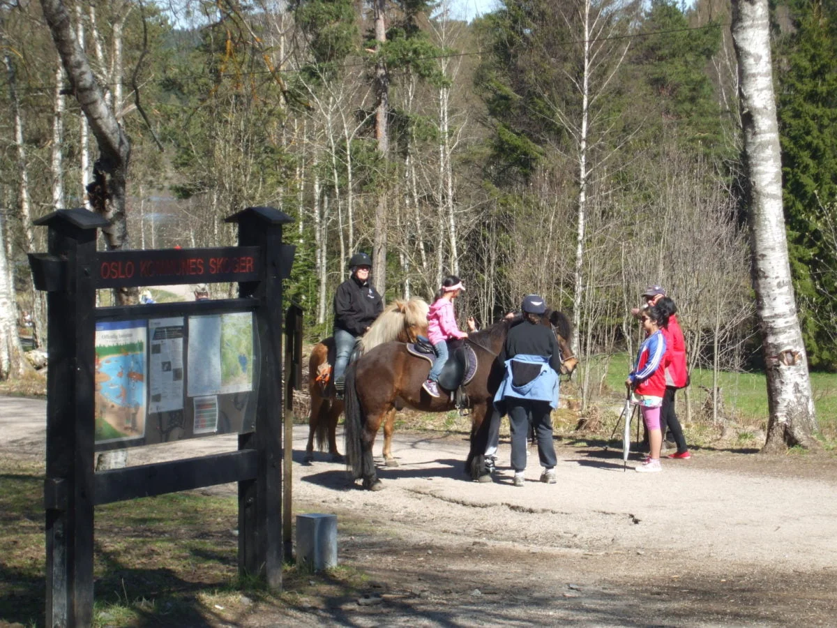 Ponies at Sognsvann