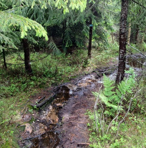 Nordmarka trail Nordmarka trail