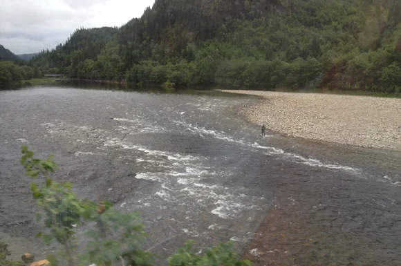 Salmon river of Trøndelag