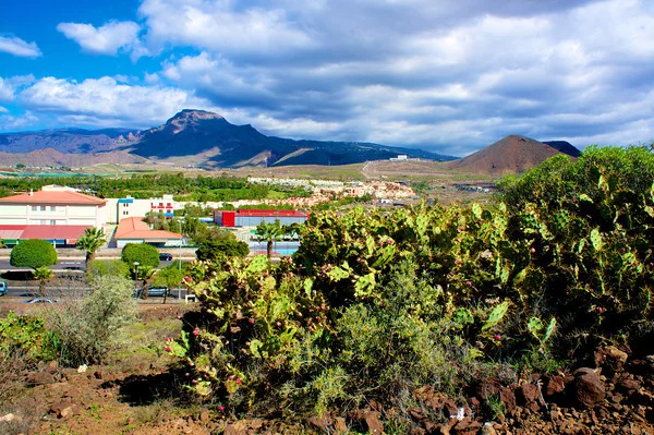 Hiking in Los Criatianos, Tenerife