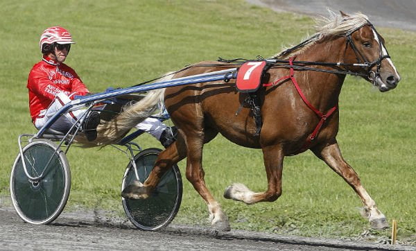 Trotting at Bjerke, Oslo