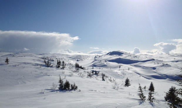 Geitfjellet, Nord-Trøndelag