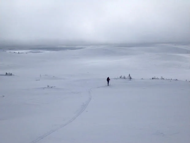Skitur near Grong
