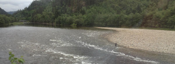 Salmon fishing in Norway