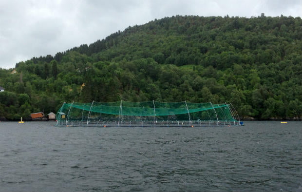 Fish farm on Osterfjorden