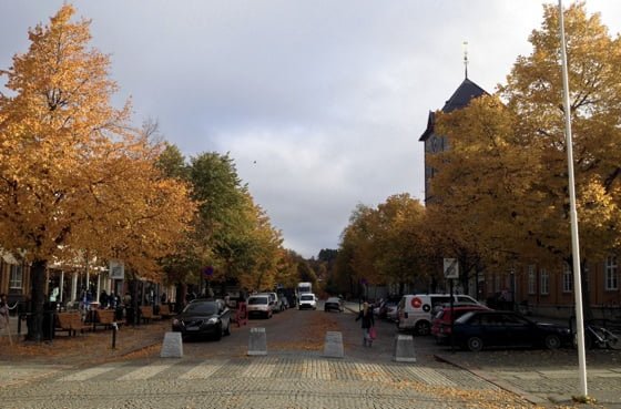 Kongens gate in Autumn