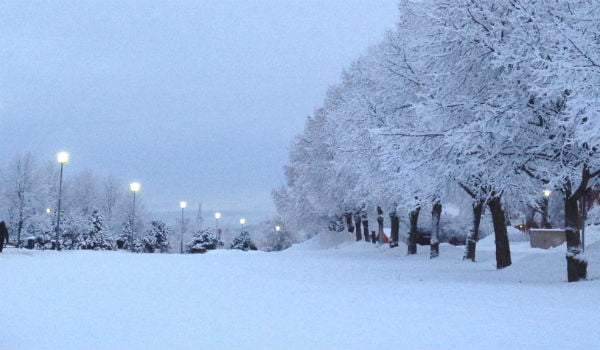 Snow in Oslo