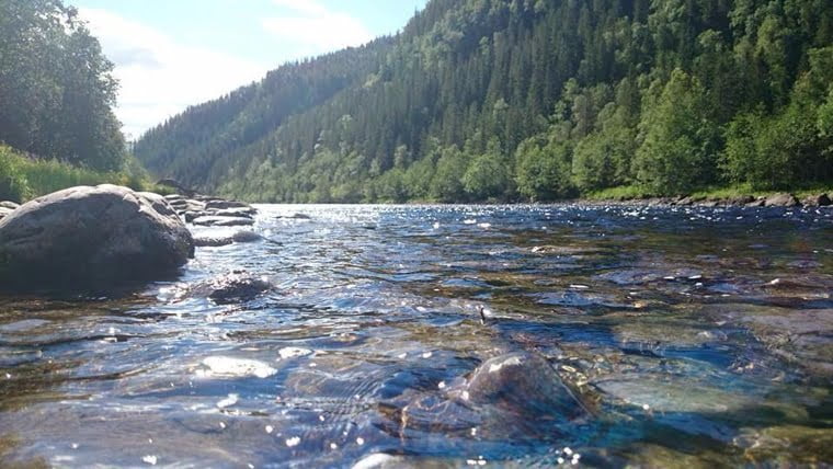 Stjørdal River