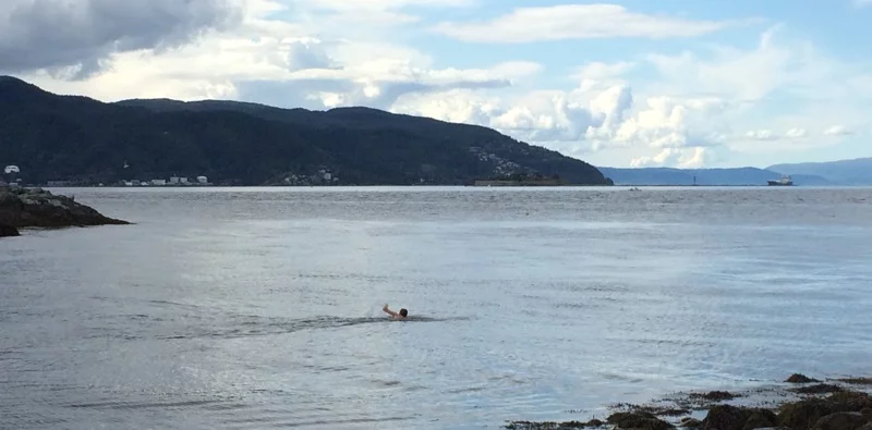 Swimming at Korsvika