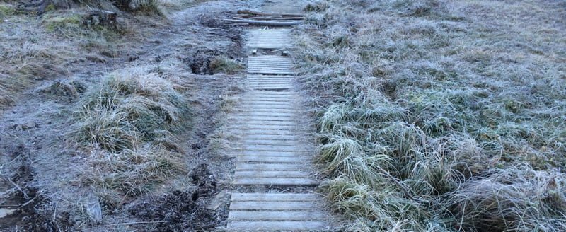 Frosty forest in Norway