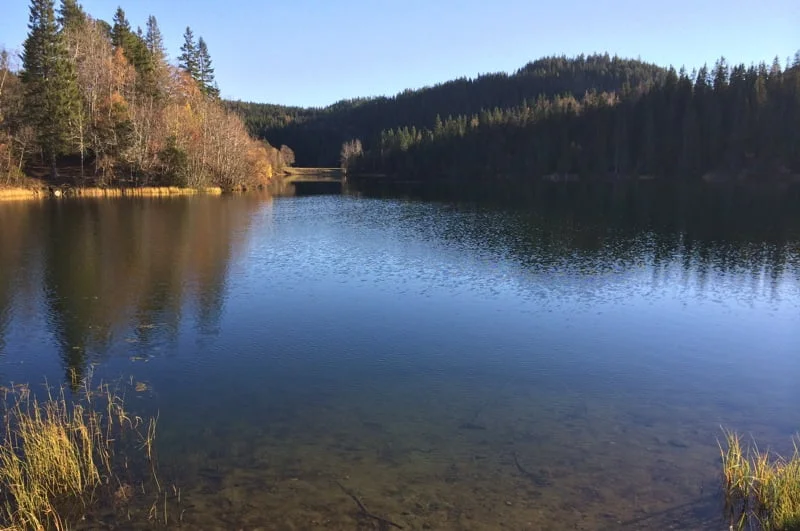 Tømmerholtdammen