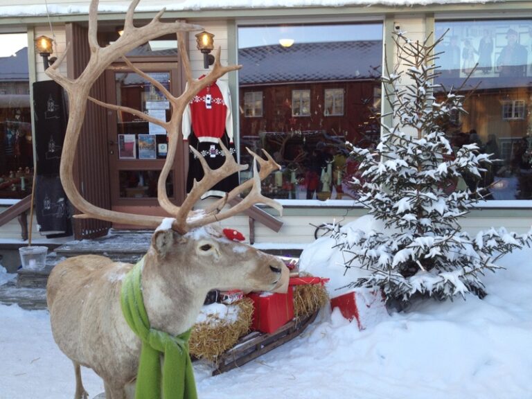 The Bearded Blog - Shopping Near Holiday World