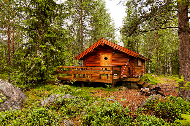 Forest cabin