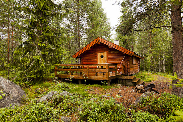 Forest cabin