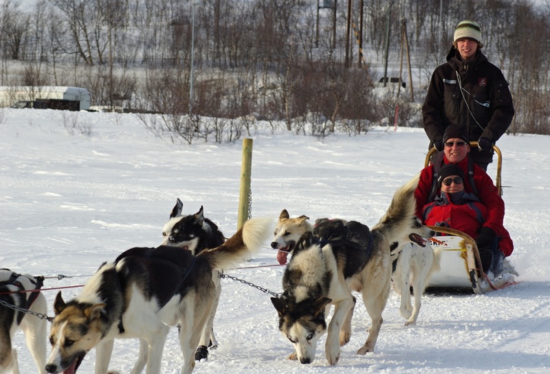 Husky sled