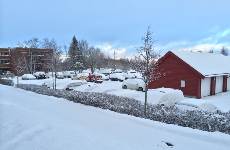 Moholt in the snow