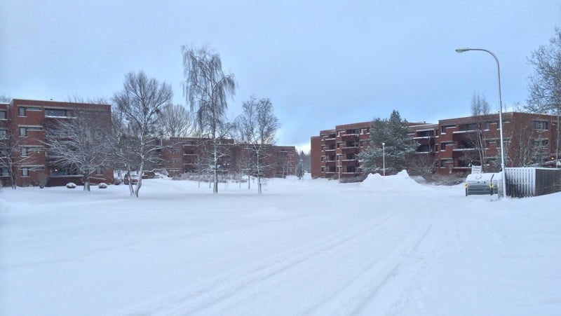 Moholt in the winter