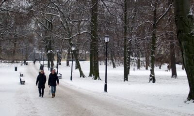 Snow in Norway