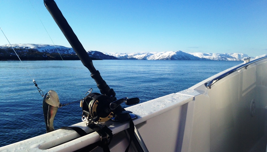 Fishing in the Finnmark region of Norway. Photo: Jolyon Smith.