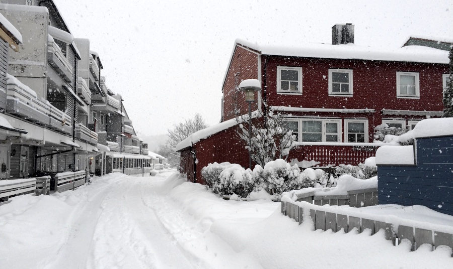 New neighbourhood in the winter