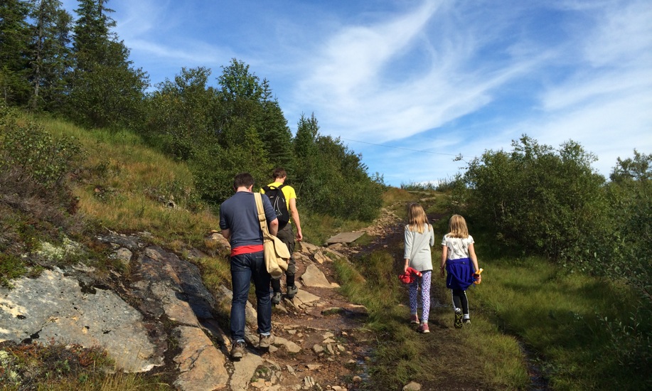 Walking in Trondheim's Bymarka (City Forest) on a weekend. Photo: David Nikel.