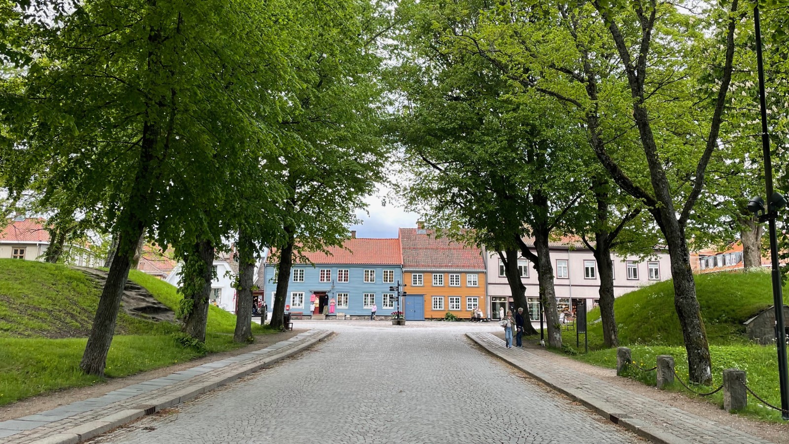Street and trees in Fredrikstad, Norway. Photo: David Nikel.