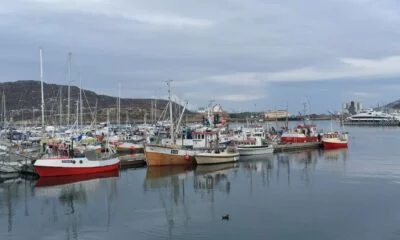 Bodø harbour