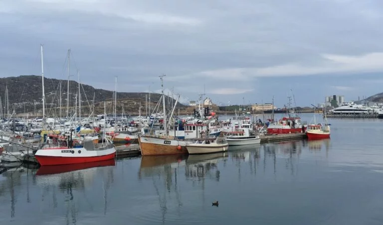 Bodø harbour