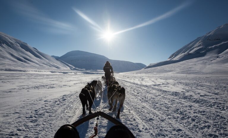 Dog Sledding in Svalbard