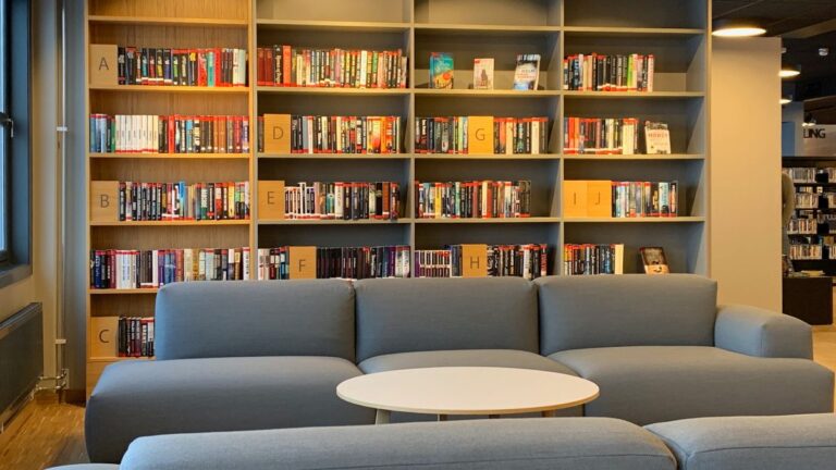 Bookshelves and a sofa inside Longyearbyen Library. Photo: David Nikel.