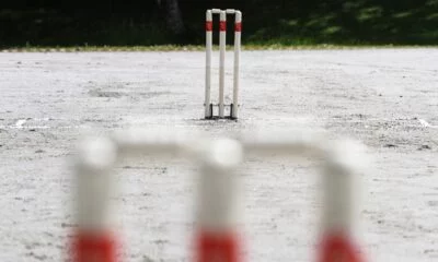 Cricket in Norway