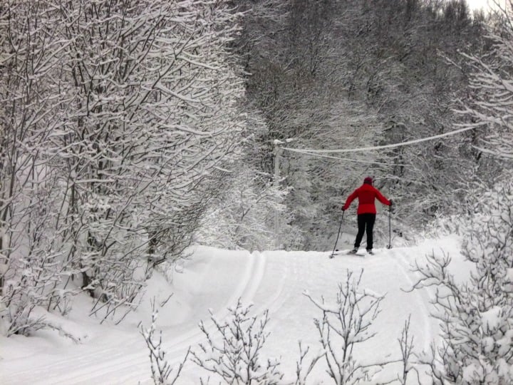 Ski in Norway