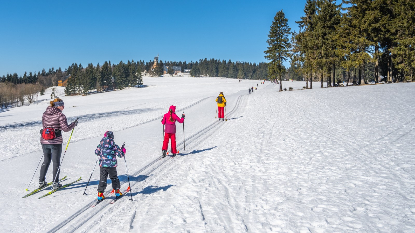 Family on cross-country skiing trails in Norway.