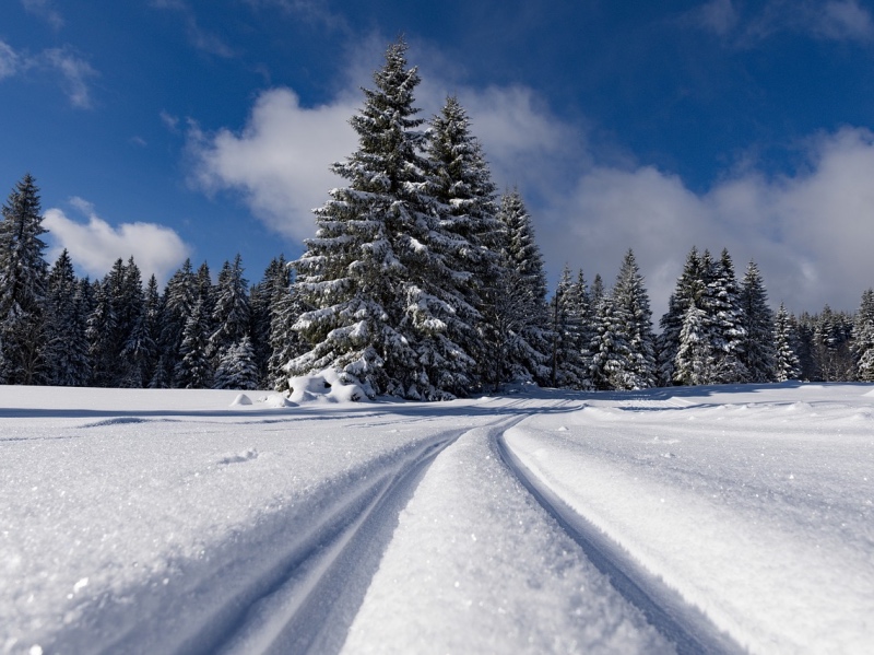 Frozen cross-country skiing tracks in Norway