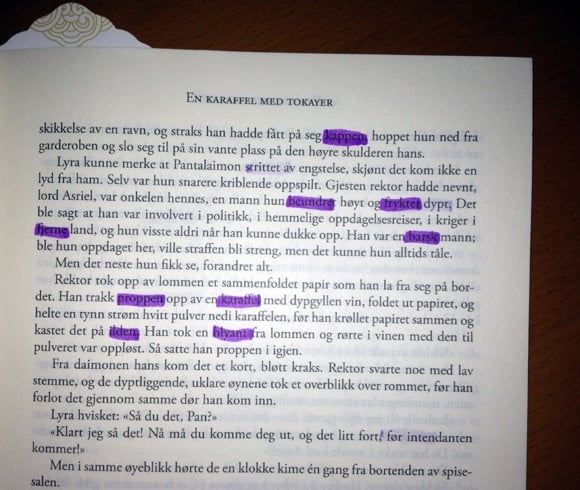 Inside a Norwegian language novel