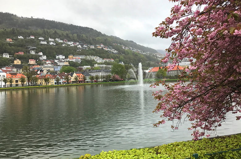 A lake in central Bergen, Norway