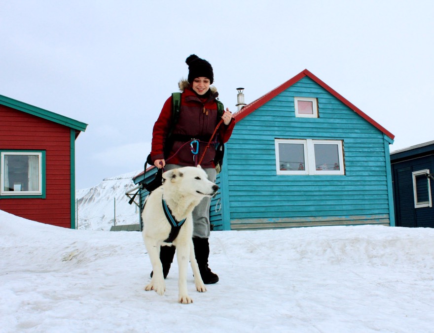 Dog walking in Longyearbyen