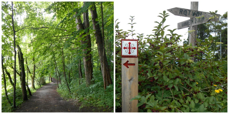 Trail through the woods